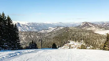 Sachticka